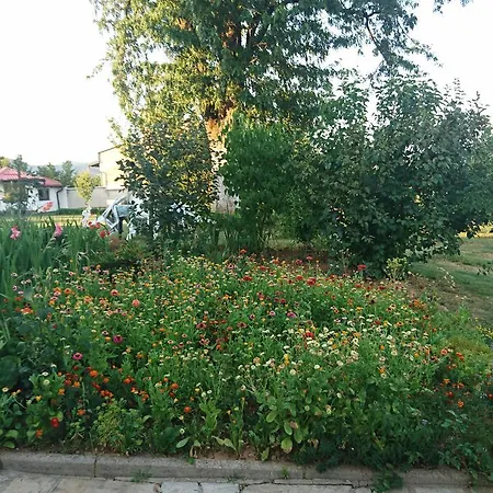 Ruza Vjetrova Sarajevo