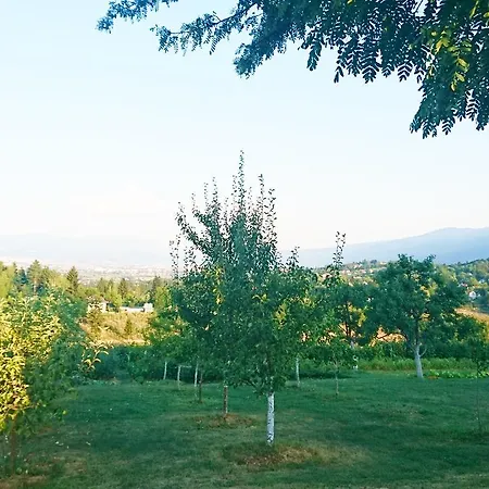 Ruza Vjetrova